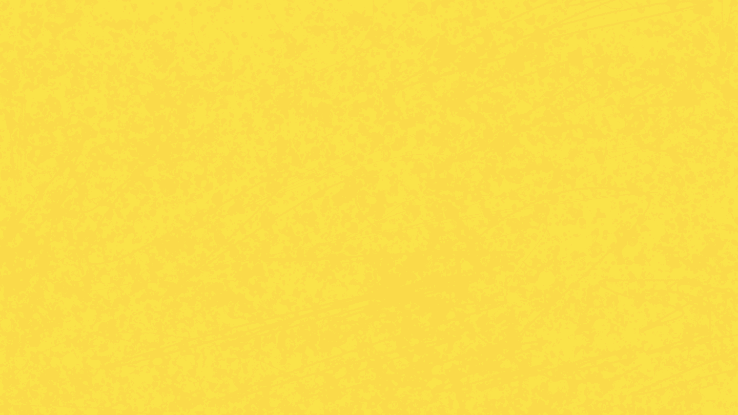 Curriculum Background